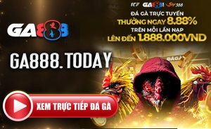 Ga888.today-ga888